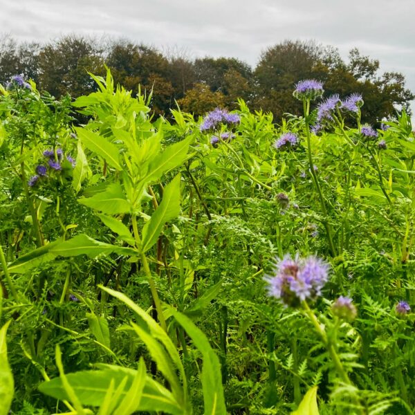 PHOTO-2025-11-19-21-21-28